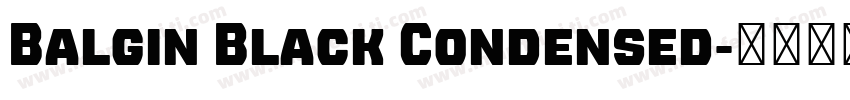 Balgin Black Condensed字体转换